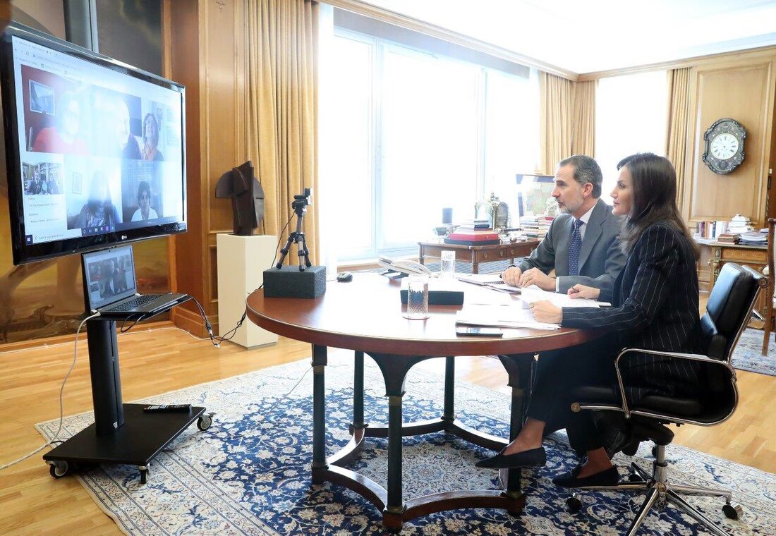 Their Majesties held a video conference with CERMI