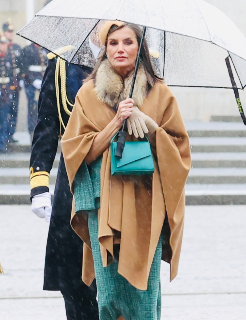 Queen Letizia wears Carolina Herrera Fur Collar Cape in Camel