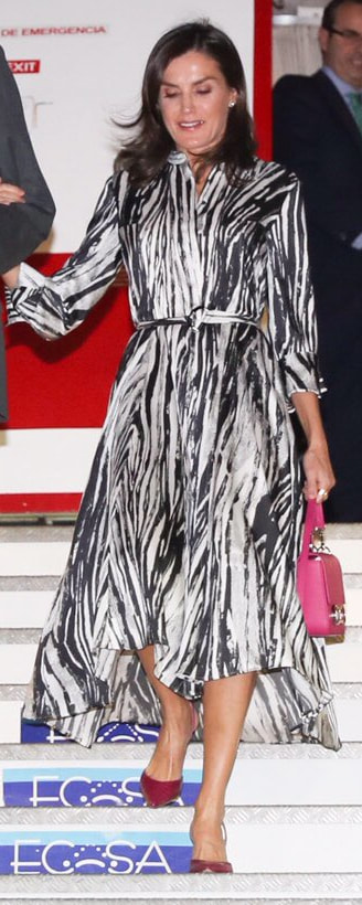Hugo Boss Danimala Zebra Printed Shirt Dress​ as seen on Queen Letizia.