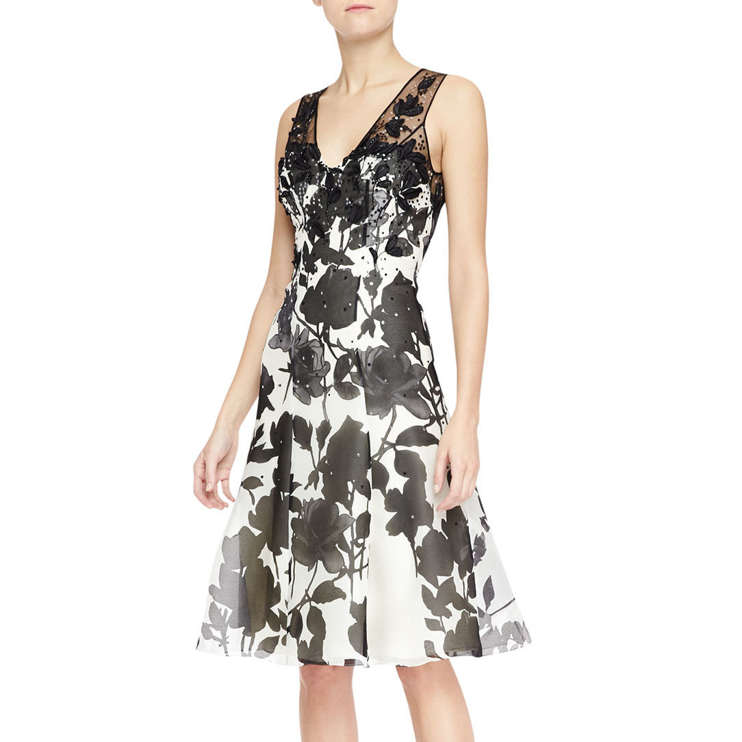 Carolina Herrera Sleeveless Embroidered Sheer-Back Dress in White/Black