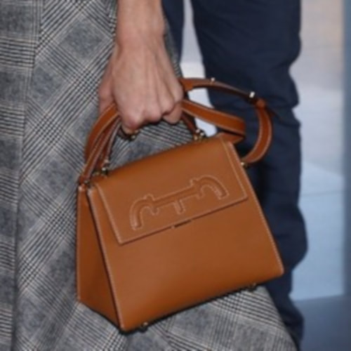 Queen Letizia carries Carolina Herrera Doma Insignia Medium Satchel Bag in Brown