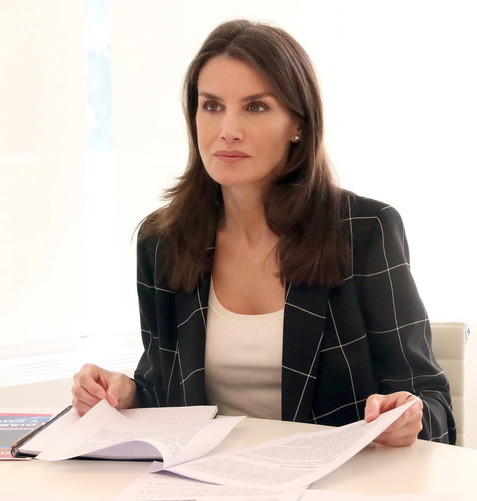 Queen Letizia held a video conference with members of the Board of Directors of the Spanish Federation of Diabetes (FEDE)