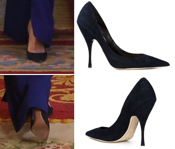 Queen Letizia wears navy suede Nina Ricci pointed toe suede pumps