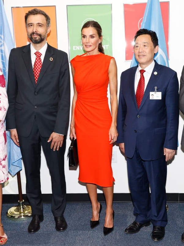 Queen Letizia dazzles in Zara x Narciso Rodriguez dress for UNICEF meetings in New York City