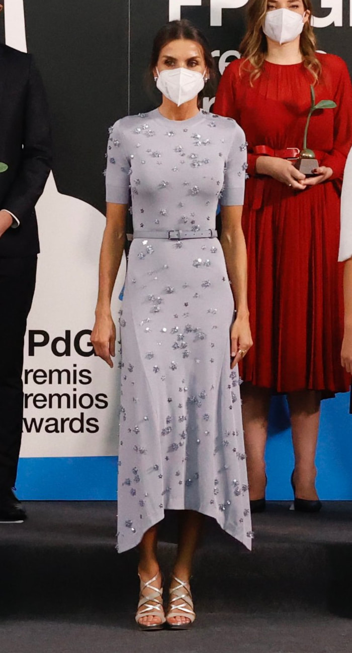Queen Letizia wears Nina Ricci AW17 dove grey star-cluster dress