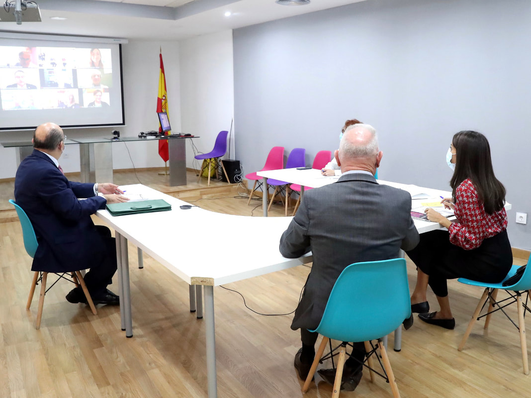 The Queen of Spain held a meeting with Spanish Mental Health Confederation on 30 September 2020