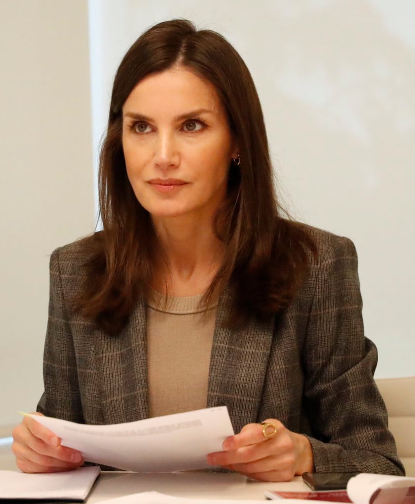 Queen Letizia held a video conference with the State Confederation of Deaf People